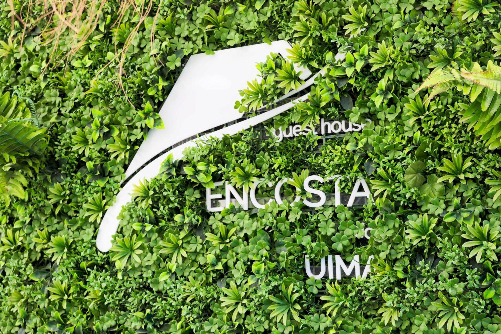 Encosta Do Uima - Guest House Caldas de Sao Jorge Экстерьер фото